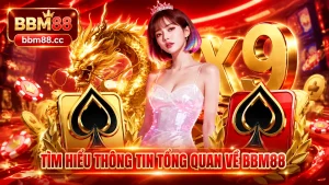 Tìm hiểu thông tin tổng quan về BM88