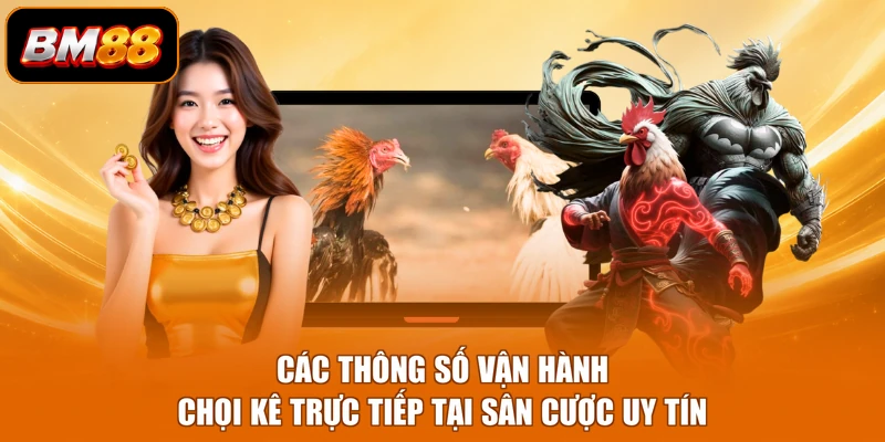 Các thông số vận hành chọi kê trực tiếp tại sân cược uy tín