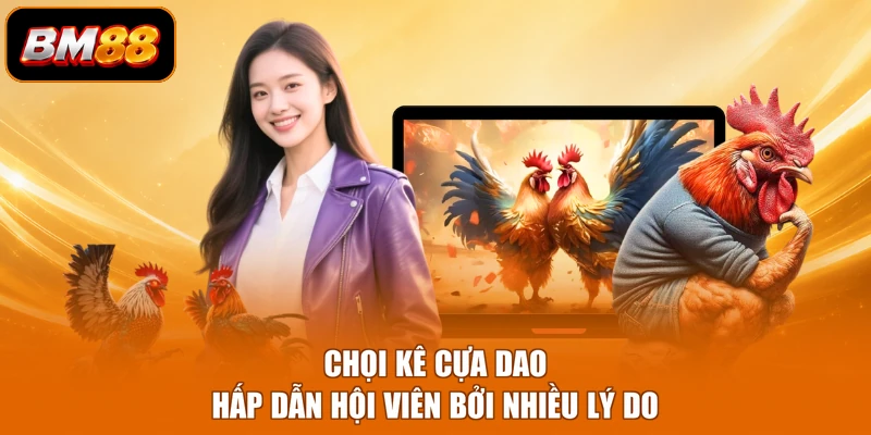 Chọi kê cựa dao hấp dẫn hội viên bởi nhiều lý do