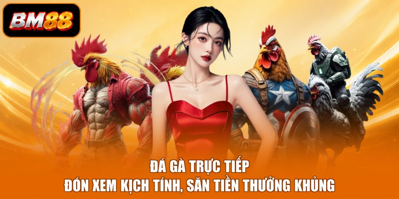 Đá Gà Trực Tiếp - Đón Xem Kịch Tính, Săn Tiền Thưởng Khủng