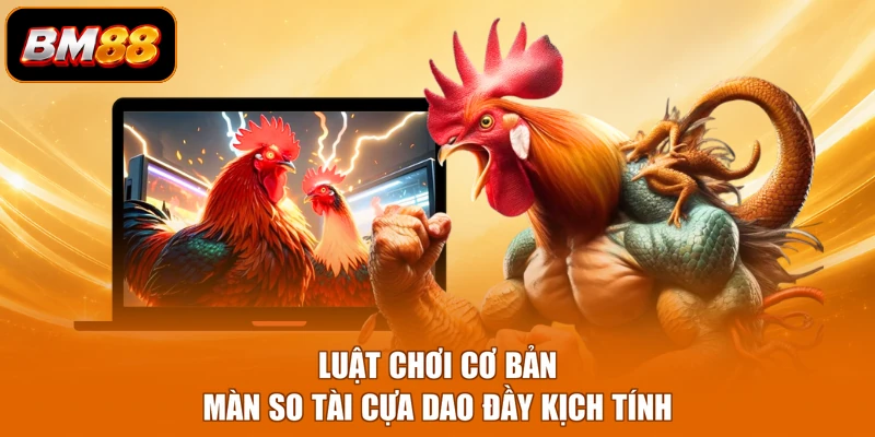 Luật chơi cơ bản màn so tài cựa dao đầy kịch tính