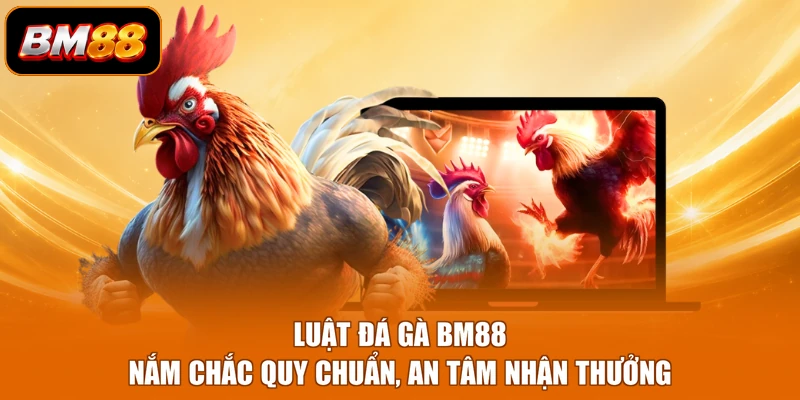Luật Đá Gà BM88 - Nắm Chắc Quy Chuẩn, An Tâm Nhận Thưởng
