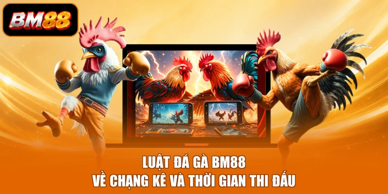 Luật đá gà BM88 về chạng kê và thời gian thi đấu