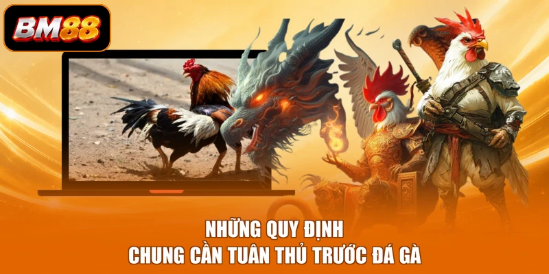 Những quy định chung cần tuân thủ trước đá gà
