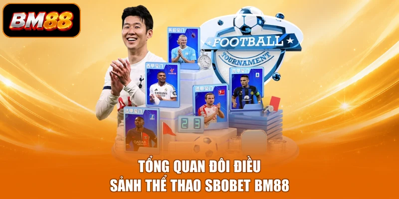 Tổng quan đôi điều sảnh thể thao Sbobet BM88