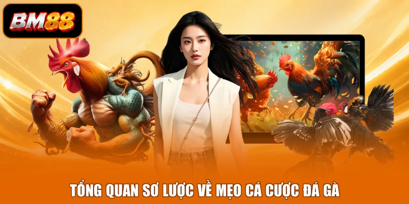 Tổng quan sơ lược về mẹo cá cược đá gà